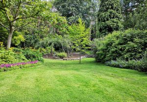 Optimiser l'expérience du jardin à Courleon